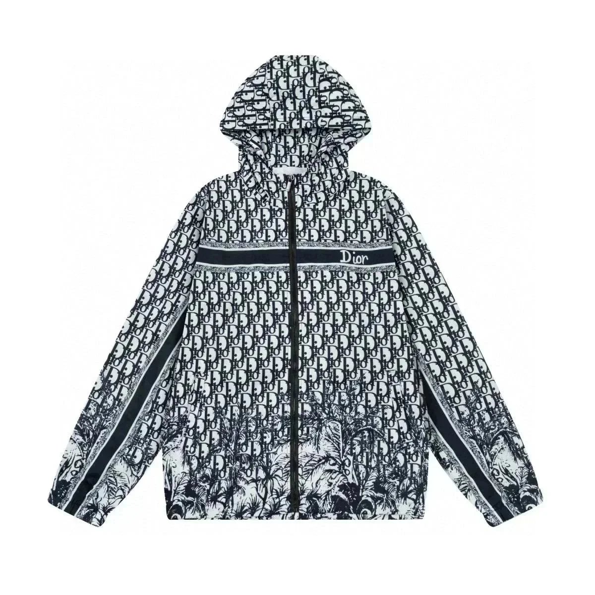 Dior 1