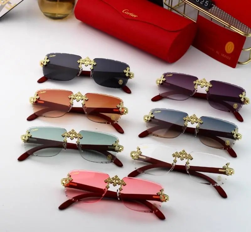 Cartier Sunglasses with Gold Decorative Frames