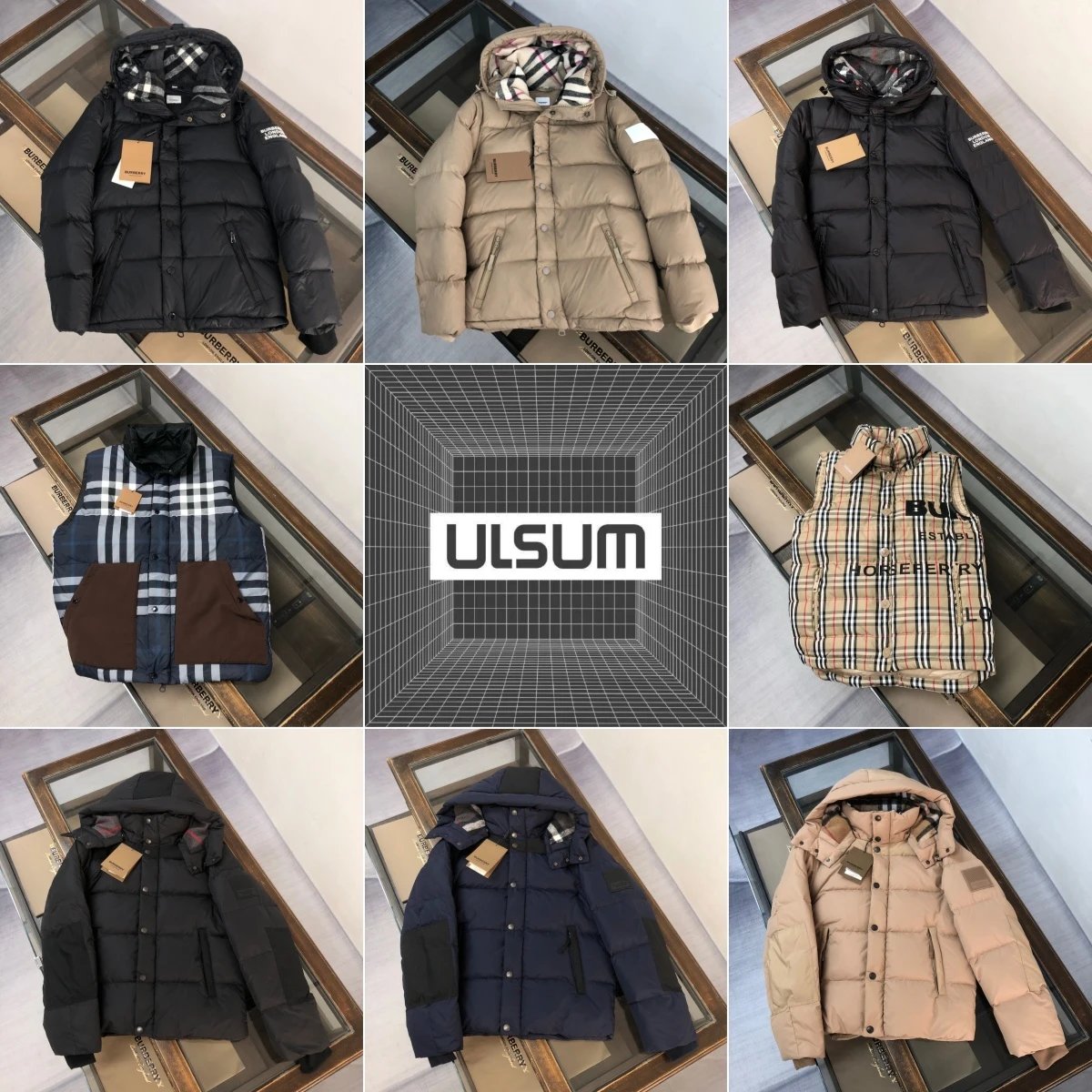 Burberry Winter Puffer Jackets and Vest for Men and Women
