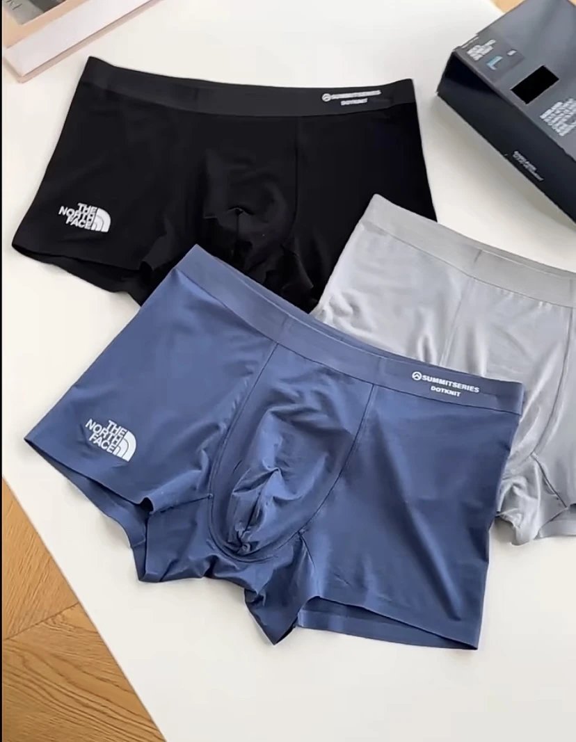 The North Face Summit Series Boxer Briefs Men's Underwear